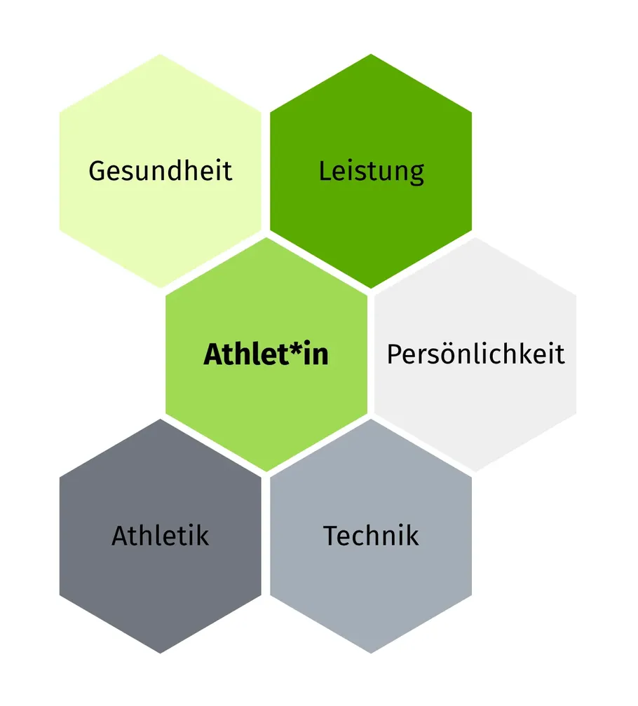 Die Grafik zeigt sechs sechseckige Felder, die wie eine Wabenstruktur angeordnet sind. In der Mitte befindet sich die Athletin oder der Athlet. Die umliegenden Felder stellen die Bereiche Gesundheit, Leistung, Persönlichkeit, Technik und Athletik dar.